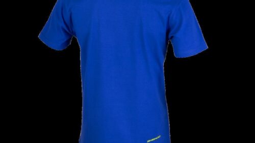 CG250130-TSHIRT CURB ROYAL MEN-BACK.png